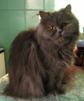 А тут мы грустные...