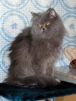 Кто это там?